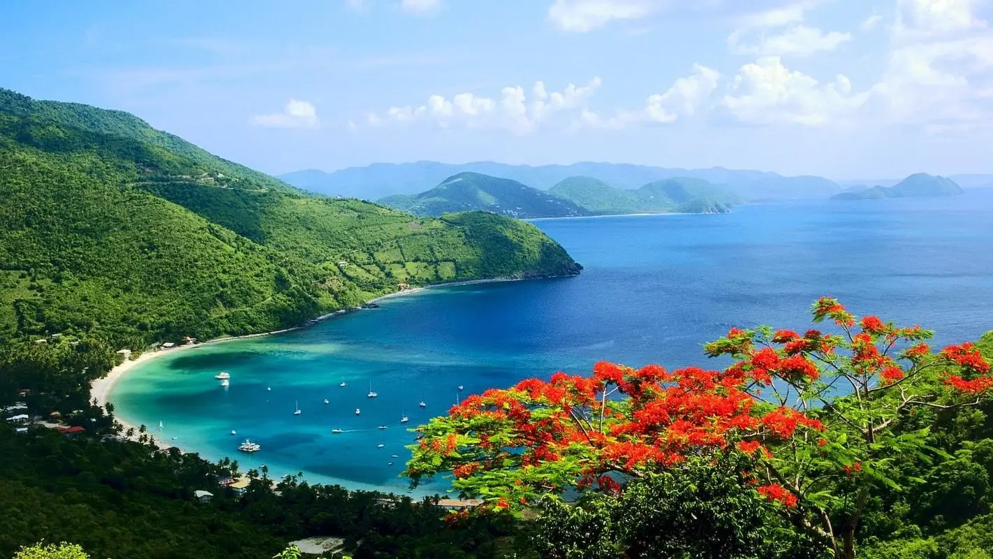 创意科技稳定性